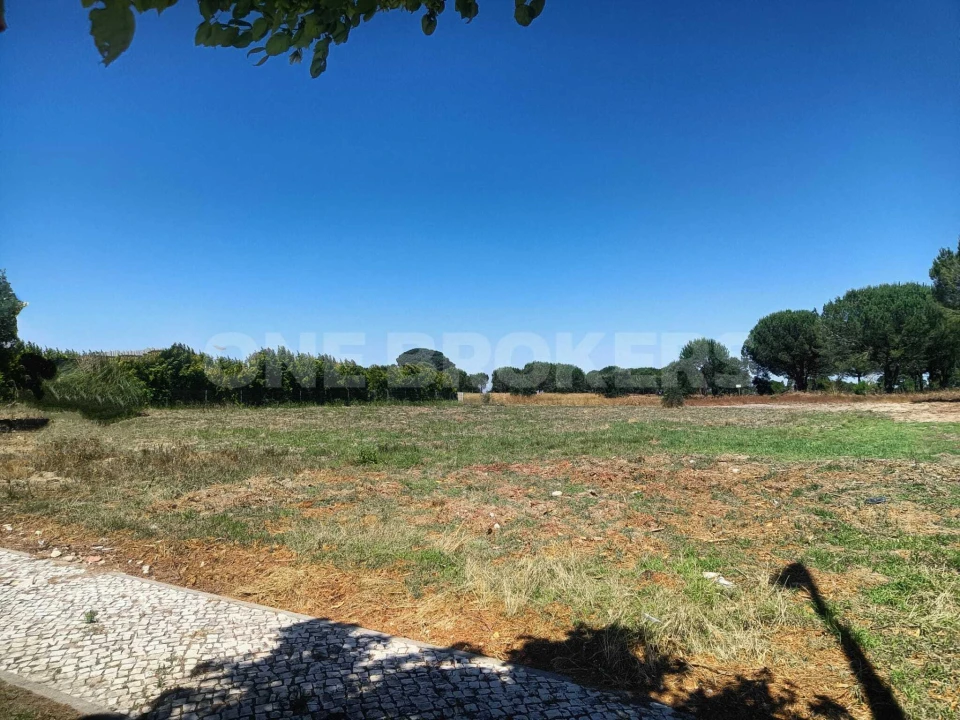 Terreno para Venda em Santo Estêvão Foto 13
