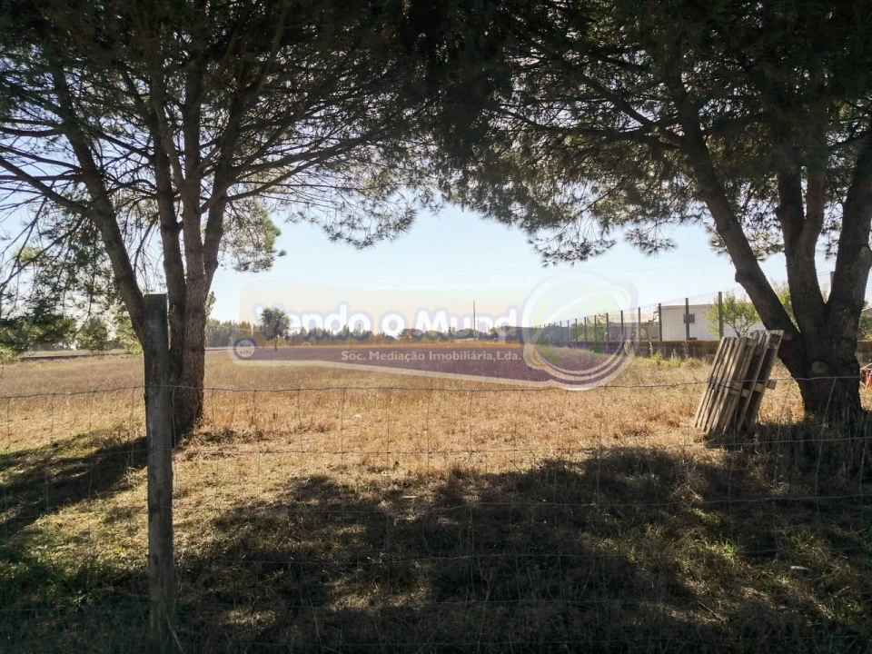 Terreno para Venda em Benavente Foto 3