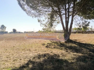 Terreno para Venda em Benavente