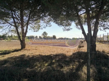 Terreno para Venda em Benavente