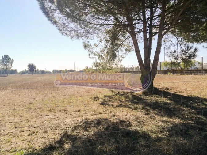Terreno para Venda em Benavente Foto 2