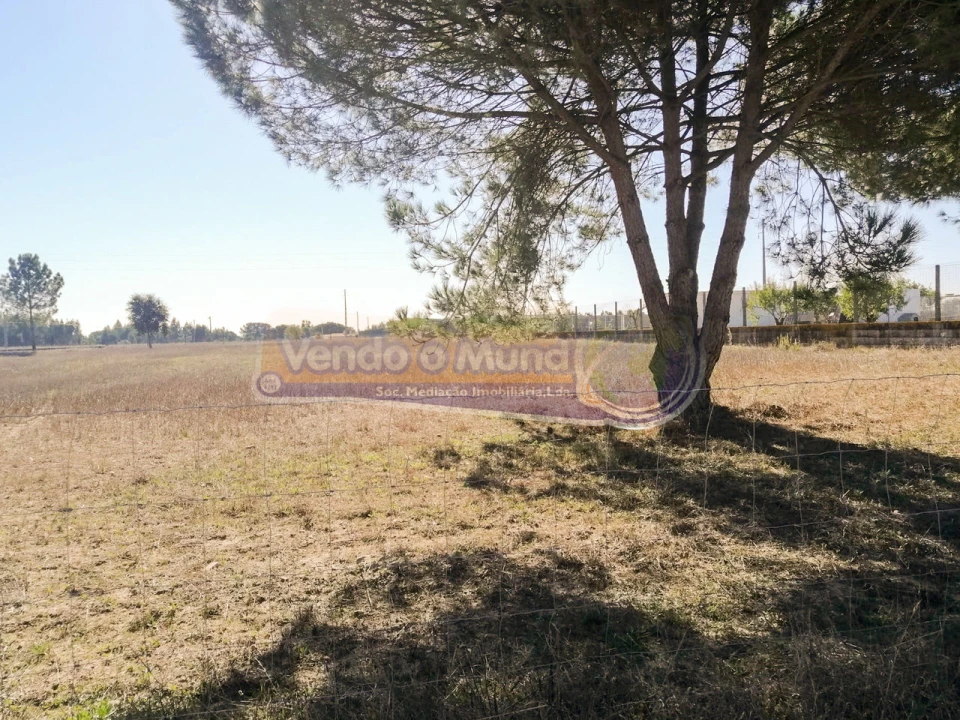 Terreno para Venda em Benavente Foto 2