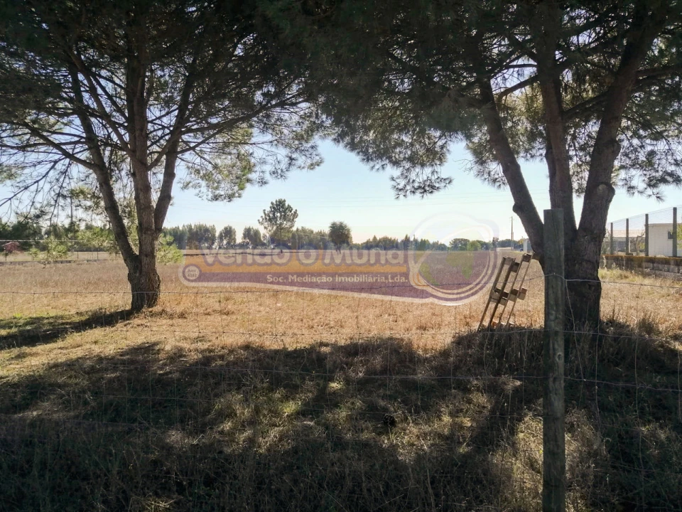 Terreno para Venda em Benavente Foto 1