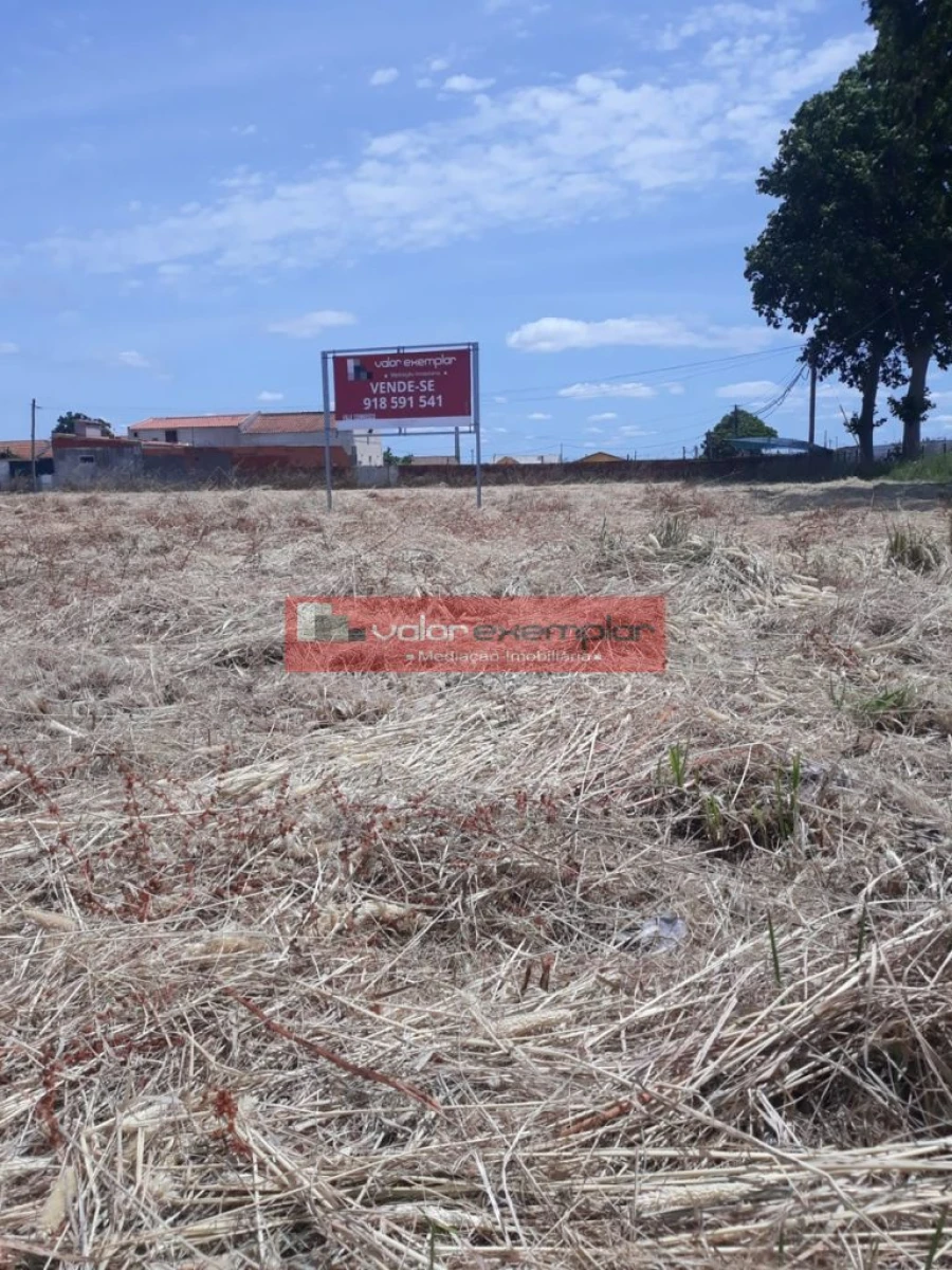 Terreno para Venda em Atalaia e Alto Estanqueiro-Jardia Foto 7