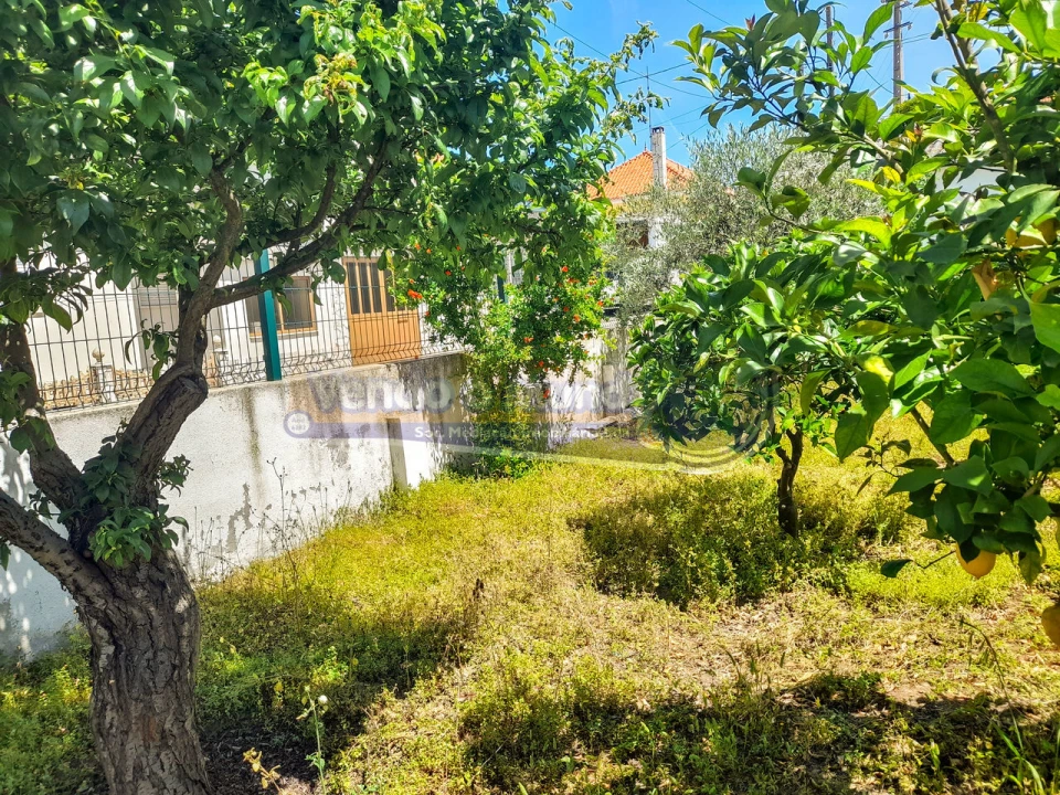 Terreno para Venda em Glória do Ribatejo e Granho Foto 4