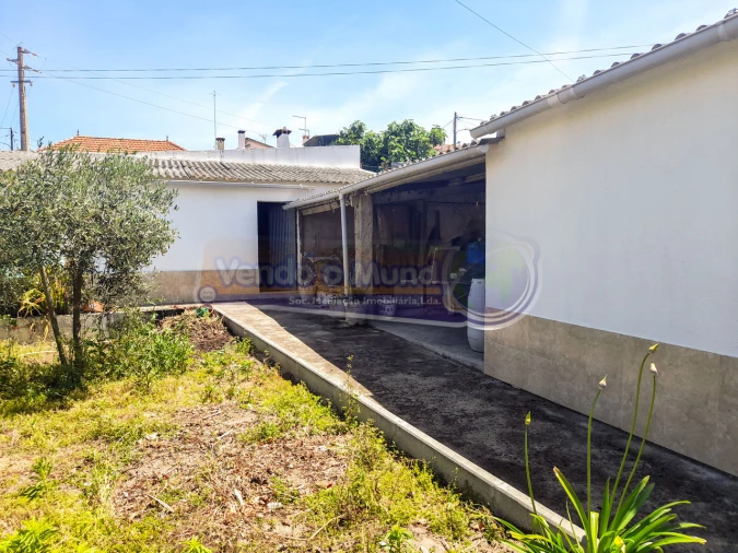 Terreno para Venda em Glória do Ribatejo e Granho Foto 6