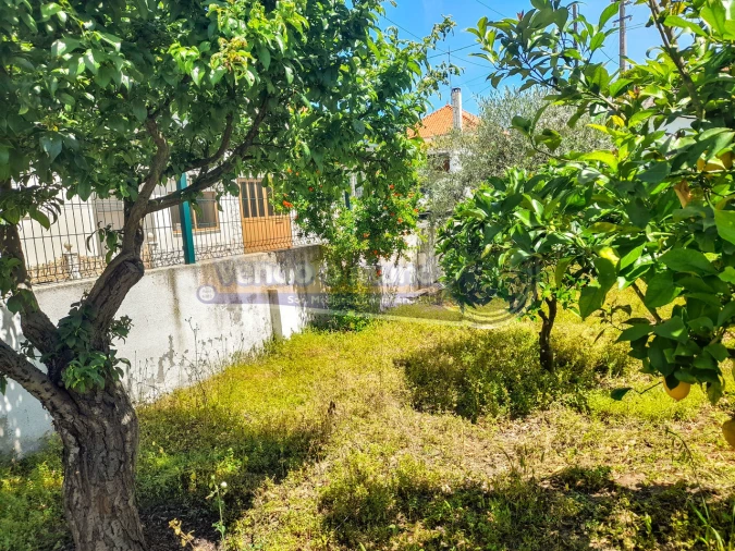 Terreno para Venda em Glória do Ribatejo e Granho Foto 4