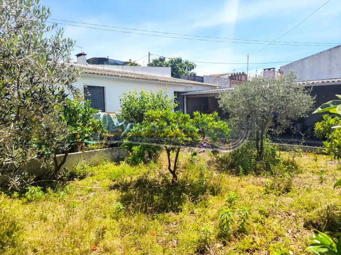 Terreno para Venda em Glória do Ribatejo e Granho Foto 3