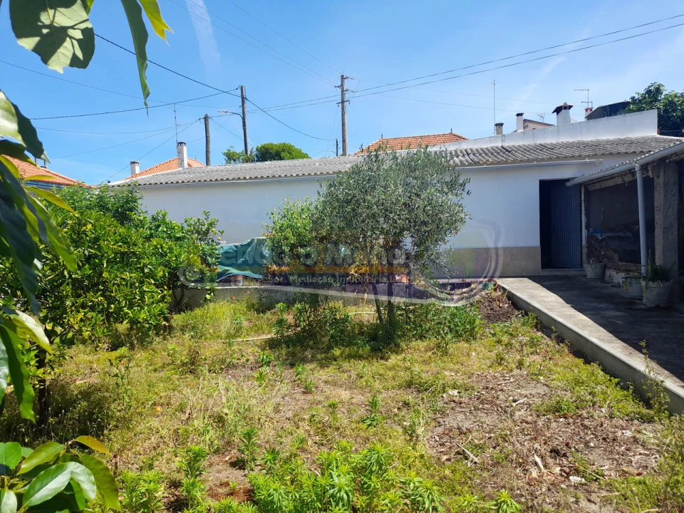 Terreno para Venda em Glória do Ribatejo e Granho Foto 5