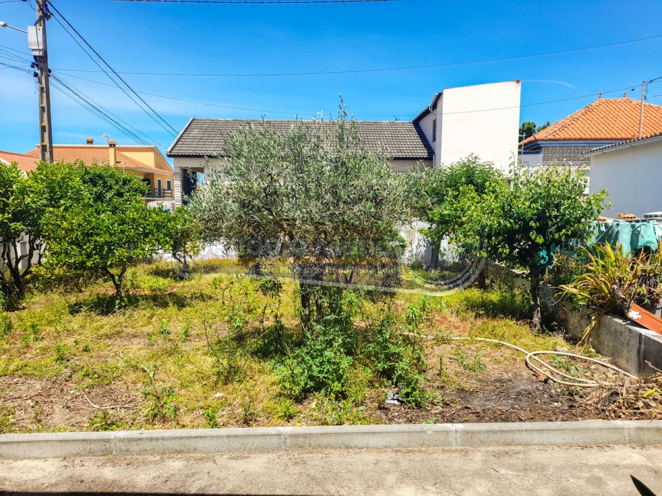 Terreno para Venda em Glória do Ribatejo e Granho Foto 2