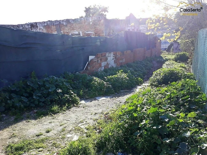 Terreno para Venda em Amora Foto 7