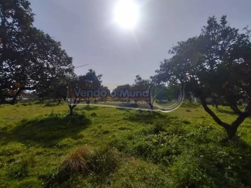 Terreno para Venda em Benavente