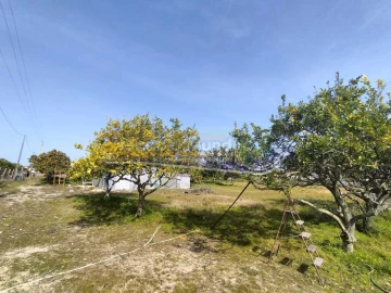 Terreno para Venda em Benavente