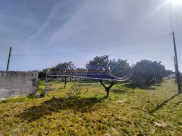 Terreno para Venda em Benavente