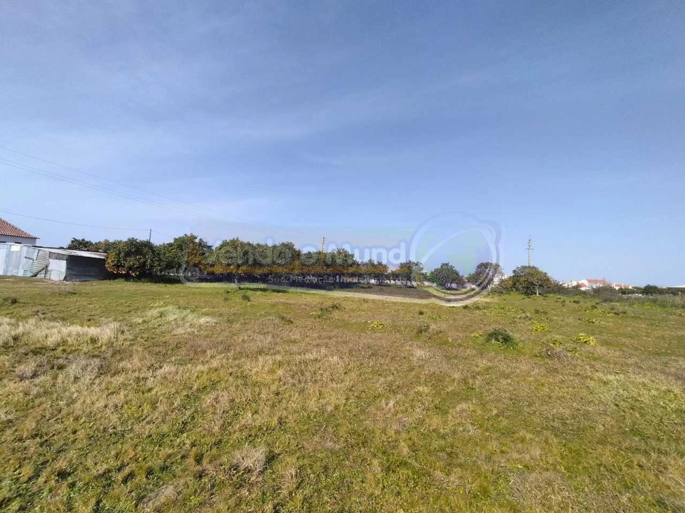 Terreno para Venda em Benavente Foto 7