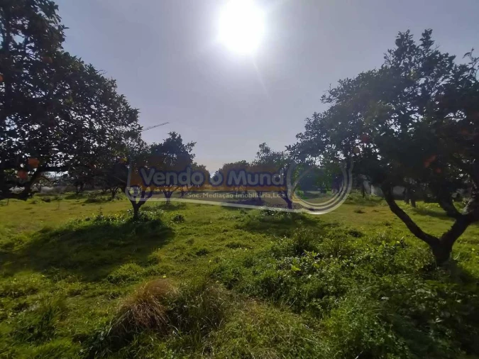 Terreno para Venda em Benavente Foto 9