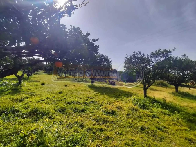 Terreno para Venda em Benavente Foto 8