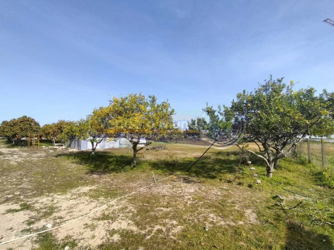 Terreno para Venda em Benavente Foto 3