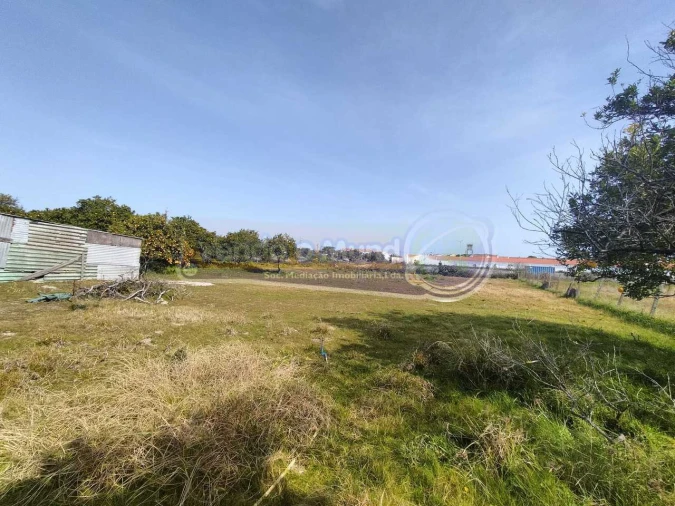Terreno para Venda em Benavente Foto 2