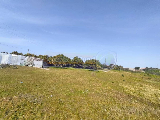Terreno para Venda em Benavente Foto 6