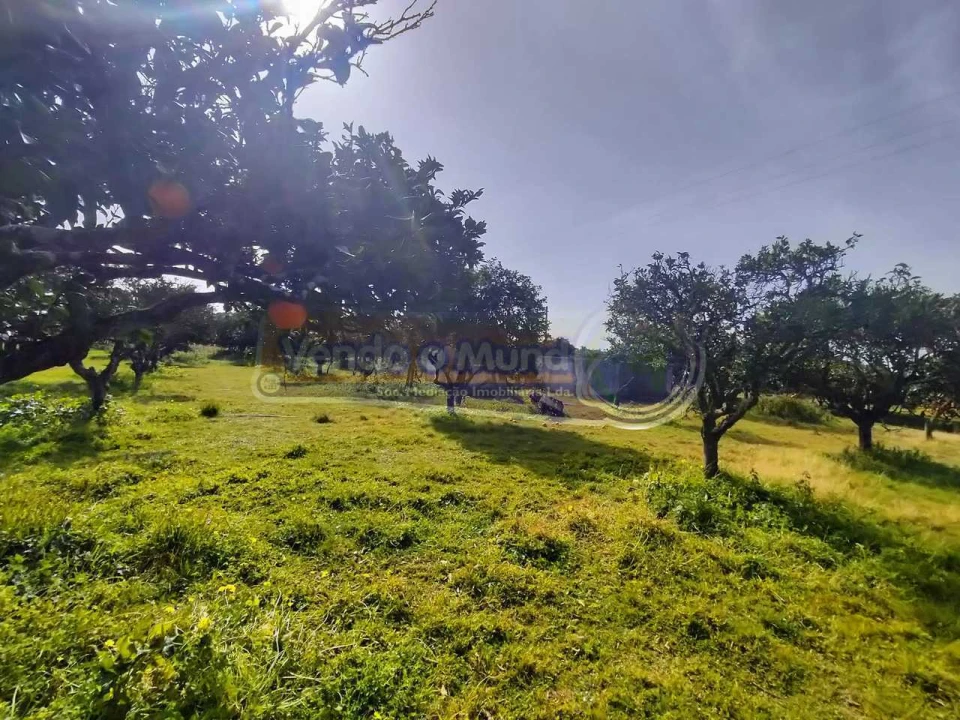 Terreno para Venda em Benavente Foto 8