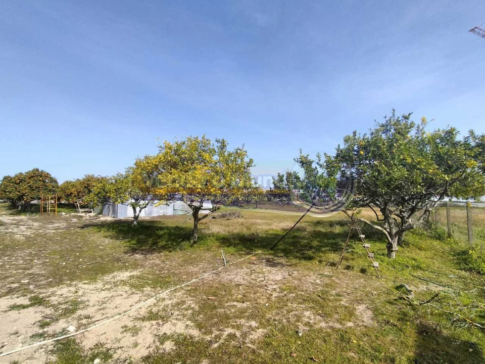 Terreno para Venda em Benavente Foto 3