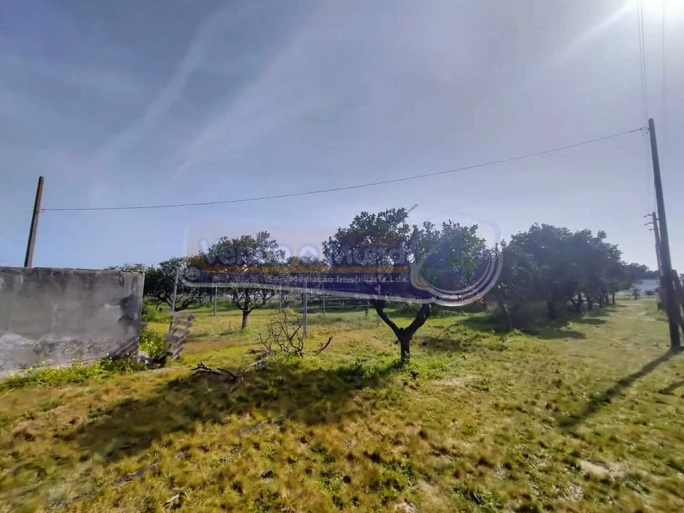 Terreno para Venda em Benavente Foto 5