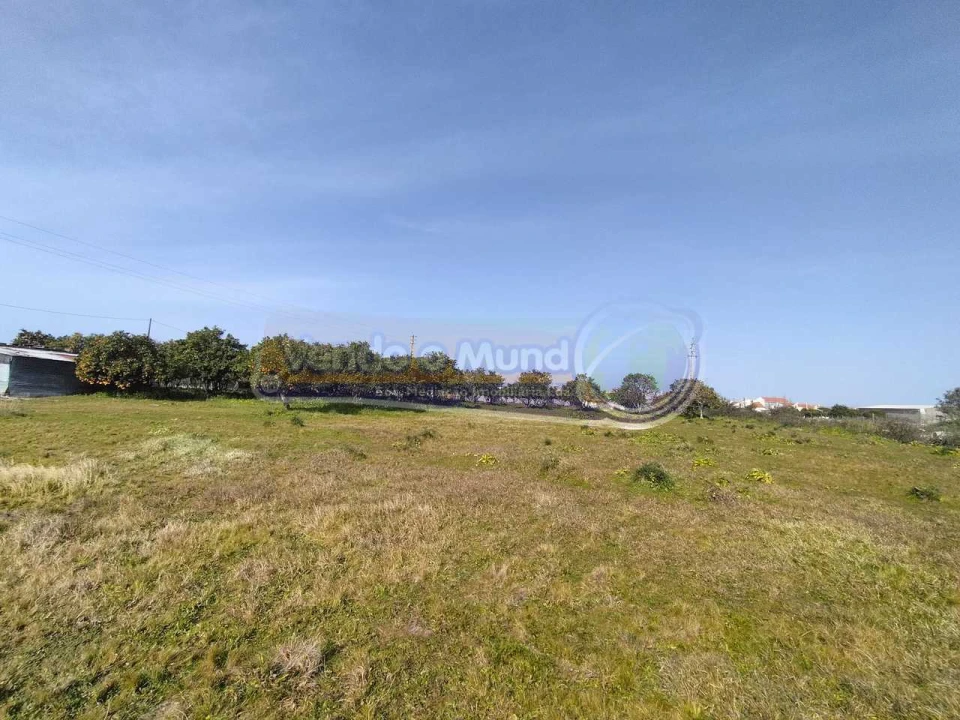 Terreno para Venda em Benavente Foto 1