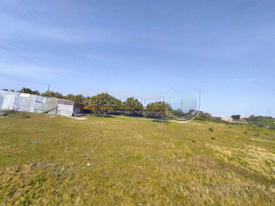 Terreno para Venda em Benavente Foto 6