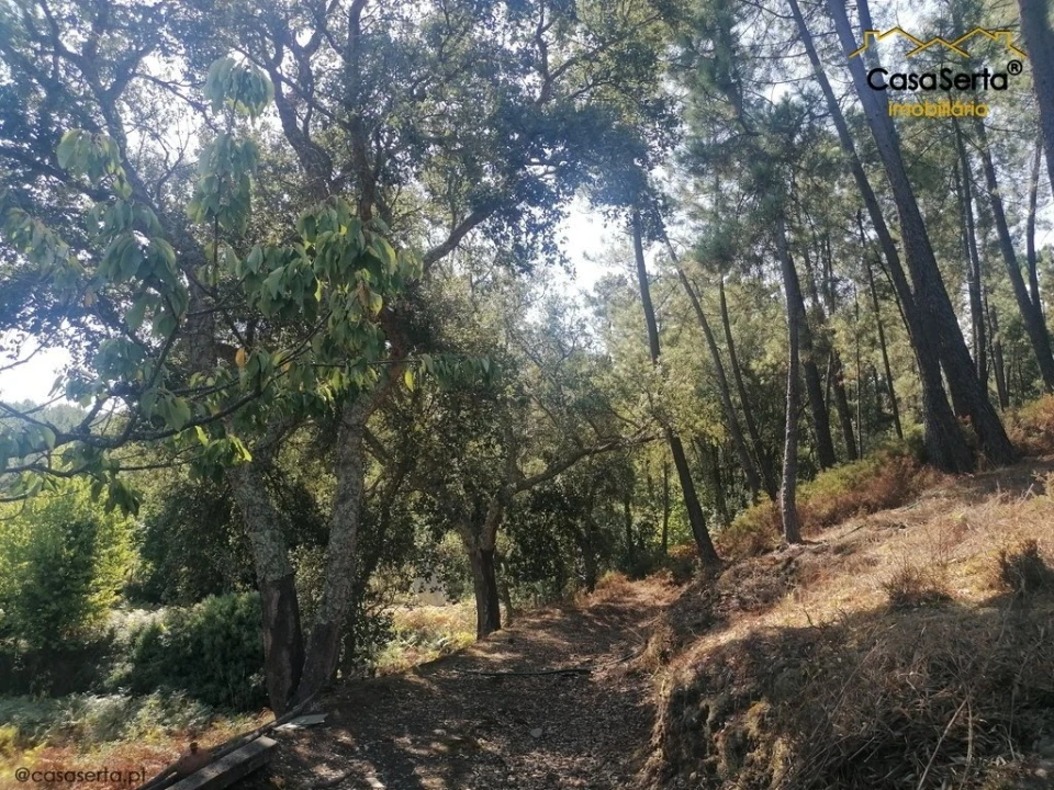 Terreno para Venda em Carvalhal Foto 1
