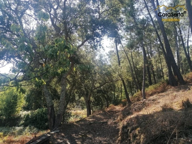 Terreno para Venda em Carvalhal