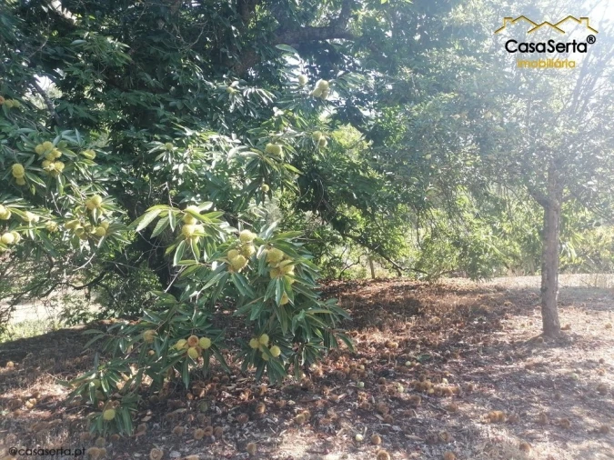 Terreno para Venda em Carvalhal Foto 12