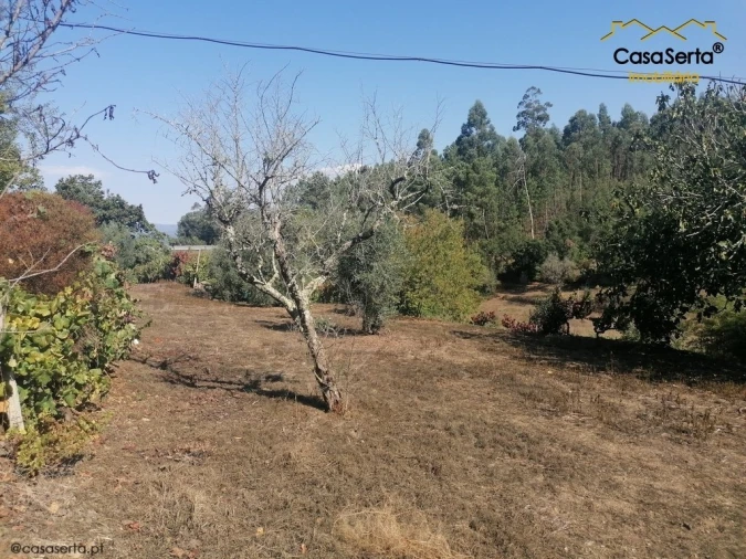 Terreno para Venda em Carvalhal Foto 6