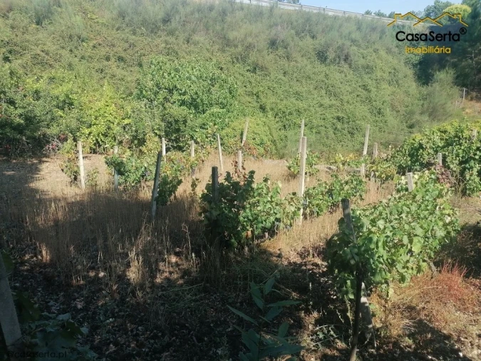 Terreno para Venda em Carvalhal Foto 11