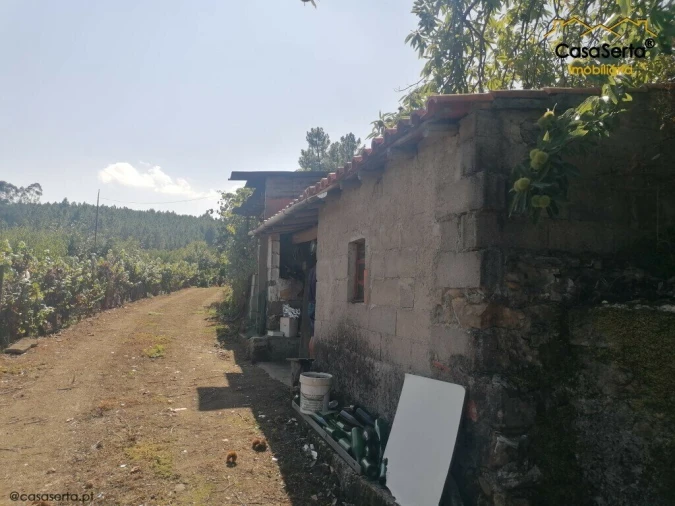 Terreno para Venda em Carvalhal Foto 14