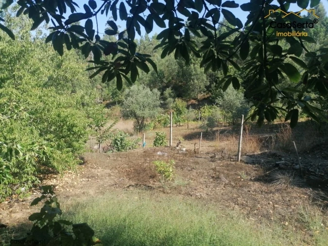 Terreno para Venda em Carvalhal Foto 7