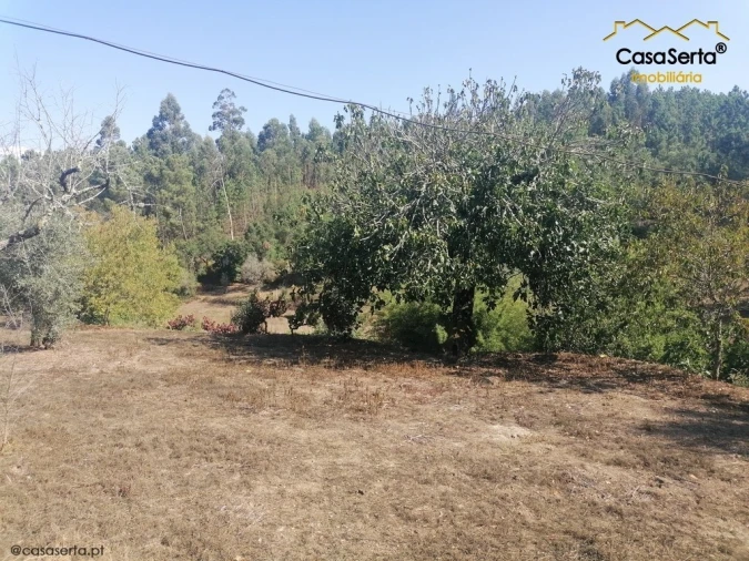 Terreno para Venda em Carvalhal Foto 5
