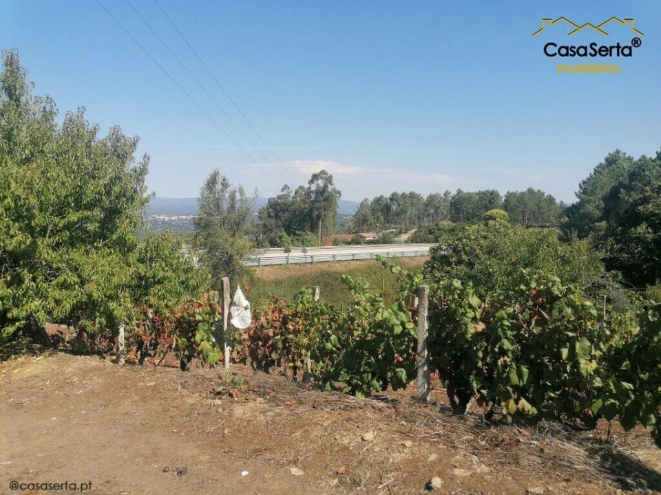 Terreno para Venda em Carvalhal Foto 15