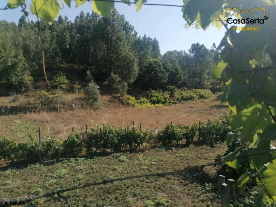 Terreno para Venda em Carvalhal Foto 10