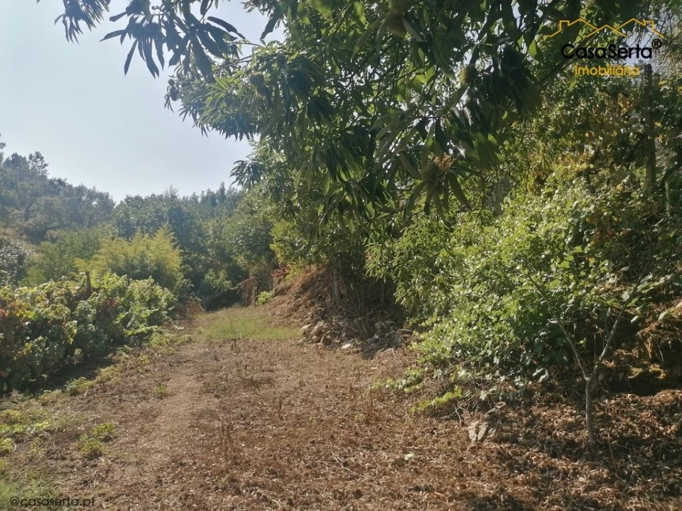Terreno para Venda em Carvalhal Foto 9