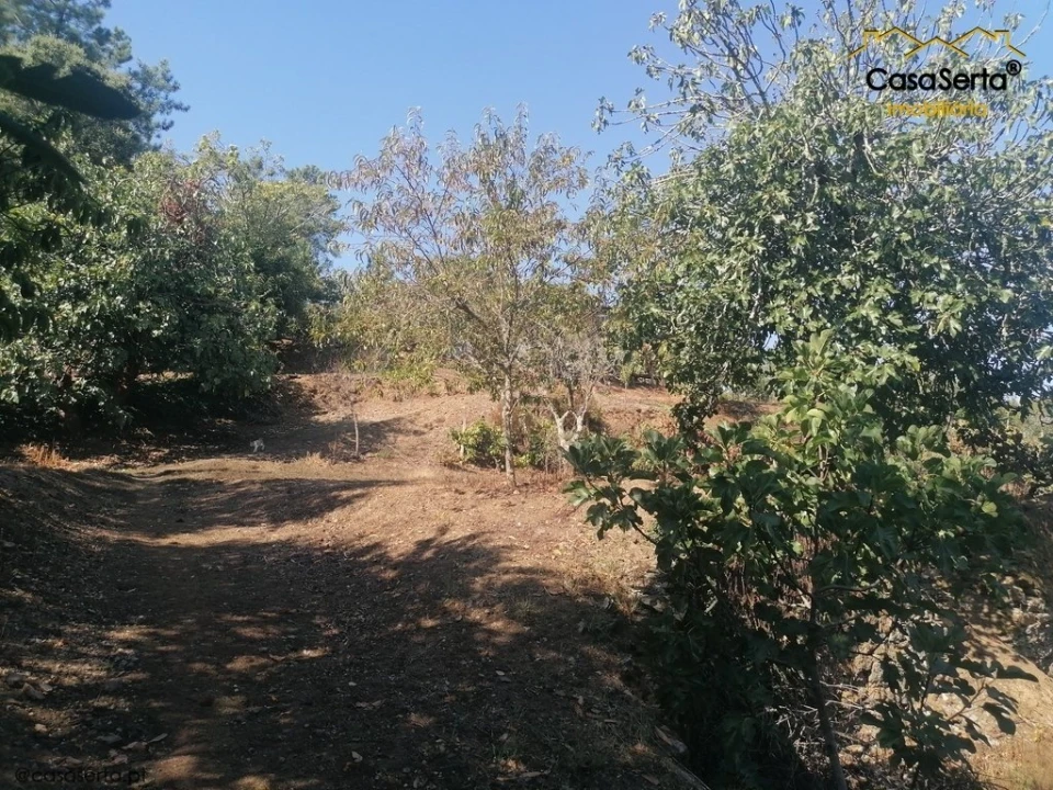Terreno para Venda em Carvalhal Foto 8