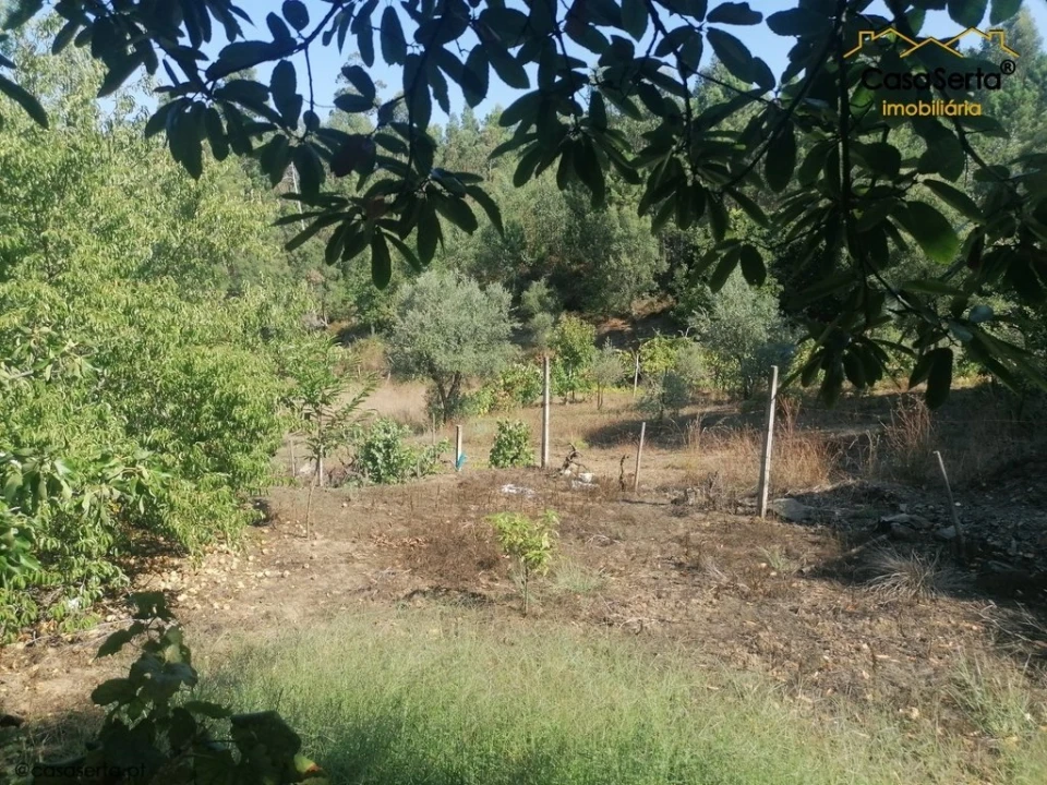 Terreno para Venda em Carvalhal Foto 7