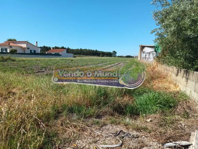 Terreno para Venda em Marinhais Foto 5