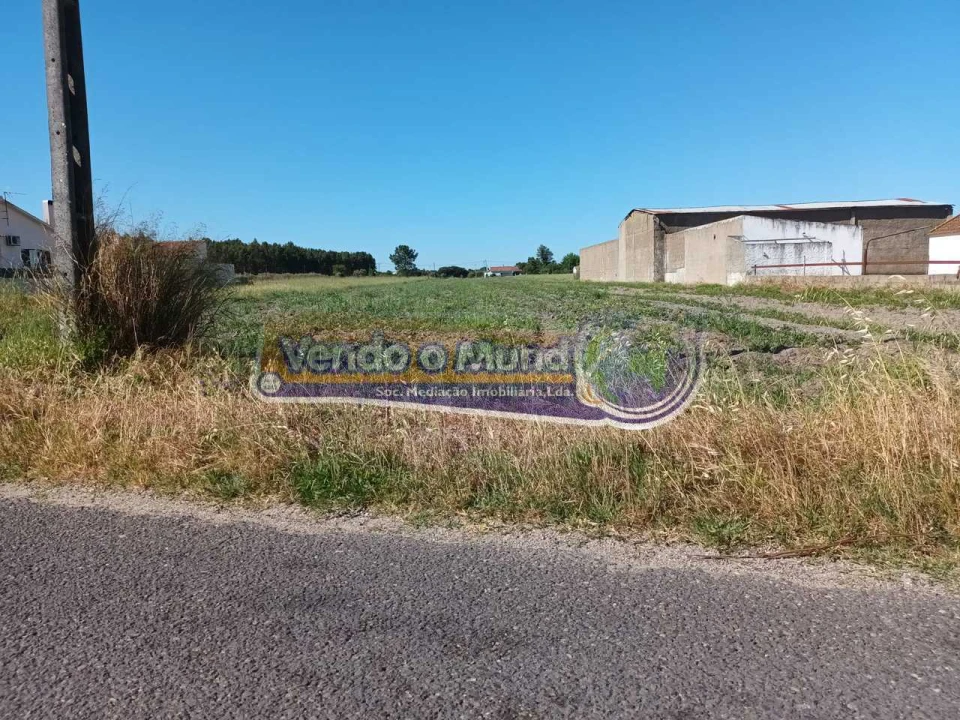 Terreno para Venda em Marinhais Foto 4