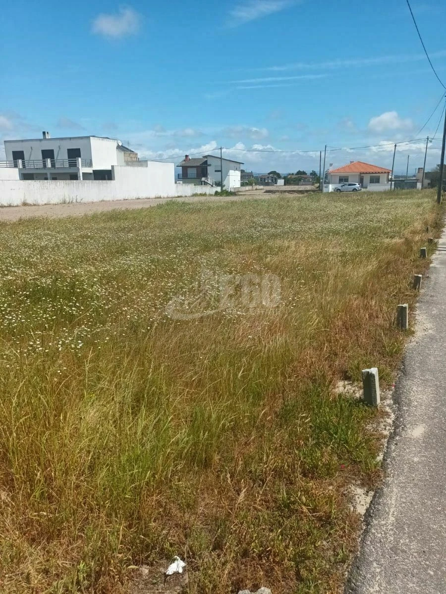 Terreno para Venda em Murtosa Foto 2