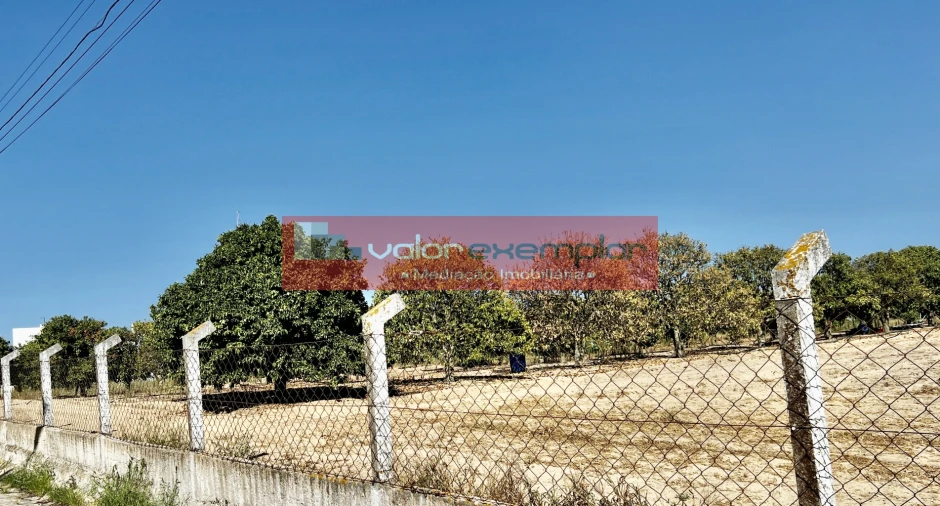 Terreno para Venda em Atalaia e Alto Estanqueiro-Jardia Foto 5