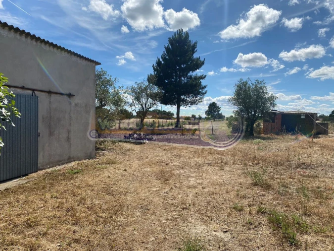 Terreno para Venda em Marinhais Foto 4