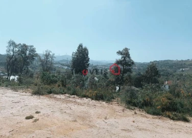 Terreno para Venda em Leiria, Pousos, Barreira e Cortes