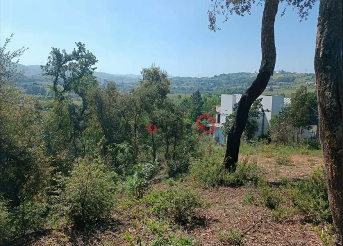 Terreno para Venda em Leiria, Pousos, Barreira e Cortes Foto 19