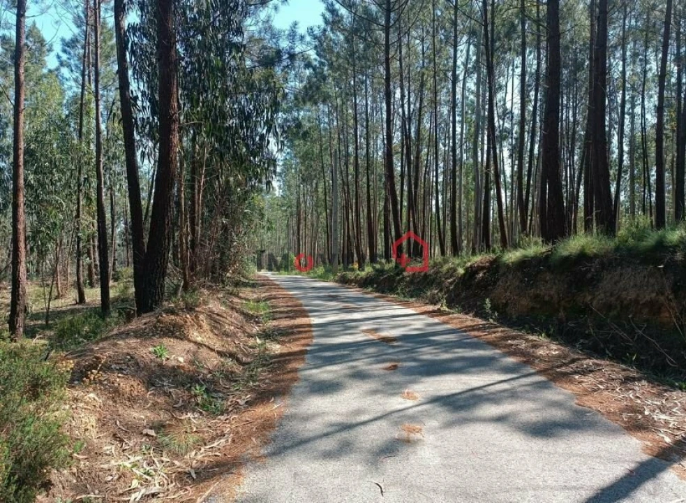 Terreno para Venda em Leiria, Pousos, Barreira e Cortes Foto 13